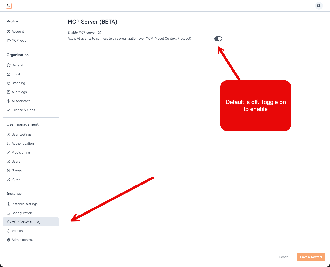 MCP Server beta setting under Instance settings in a self-hosted Enterprise instance